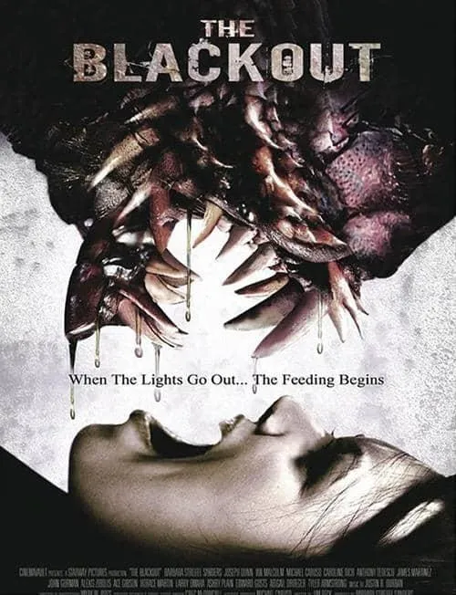 The Blackout poster